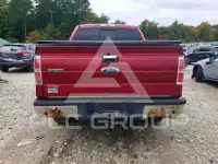 2013 Ford F-150 фото