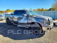 2013 Ford F-150 photo