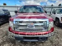 2013 Ford F-150 фото