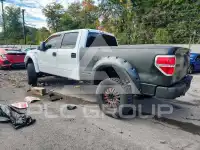 2013 Ford F-150 фото