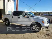 2013 Ford F-150 фото