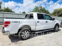 2013 Ford F-150 фото