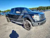 2013 Ford F-150 photo