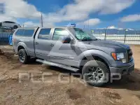 2013 Ford F-150 фото