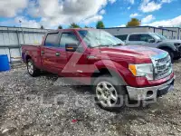 2013 Ford F-150 фото