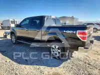 2013 Ford F-150 фото