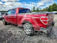 2013 Ford F-150 фото