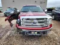 2013 Ford F-150 фото