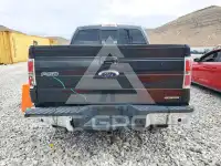 2013 Ford F-150 photo