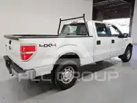 2013 Ford F-150 photo