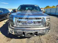 2013 Ford F-150 photo