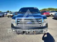 2013 Ford F-150 photo