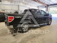 2013 Ford F-150 photo
