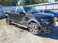 2013 Ford F-150 photo