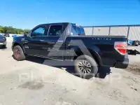 2013 Ford F-150 фото