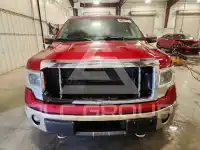 2013 Ford F-150 фото
