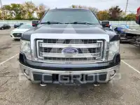 2013 Ford F-150 photo