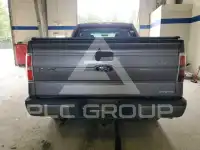 2013 Ford F-150 фото