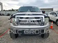 2013 Ford F-150 фото