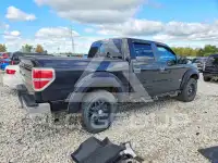 2013 Ford F-150 фото