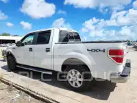 2013 Ford F-150 фото