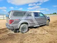 2013 Ford F-150 фото