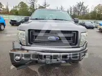 2013 Ford F-150 photo