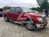 2013 Ford F-150 фото