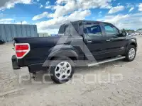 2013 Ford F-150 photo