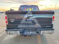 2013 Ford F-150 фото