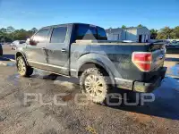 2013 Ford F-150 photo