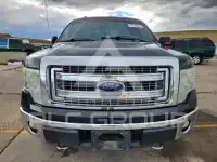 2013 Ford F-150 фото