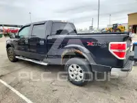 2013 Ford F-150 photo