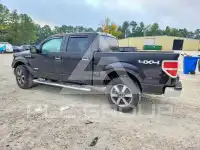 2013 Ford F-150 photo