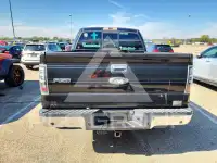 2013 Ford F-150 photo