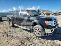 2013 Ford F-150 фото