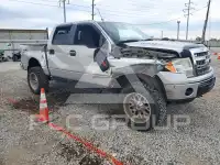 2013 Ford F-150 фото