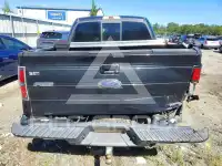 2013 Ford F-150 photo