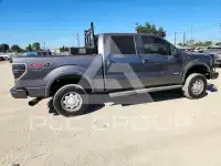 2013 Ford F-150 фото