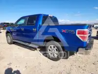 2013 Ford F-150 фото
