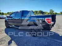 2013 Ford F-150 photo