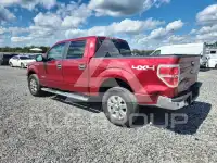2013 Ford F-150 фото