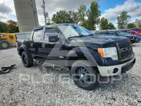 2013 Ford F-150 фото