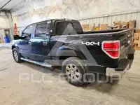 2013 Ford F-150 photo
