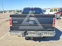 2013 Ford F-150 photo