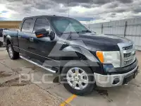 2013 Ford F-150 фото