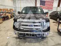 2013 Ford F-150 photo
