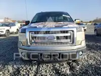 2013 Ford F-150 фото