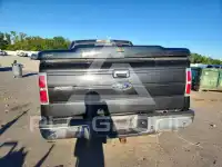 2013 Ford F-150 фото