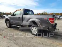 2013 Ford F-150 фото